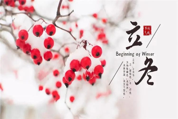 秋走冬又至，立冬啦